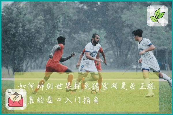如何辨别世界杯竞猜官网是否正规可靠的盘口入门指南