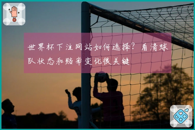 世界杯下注网站如何选择？看清球队状态和赔率变化很关键
