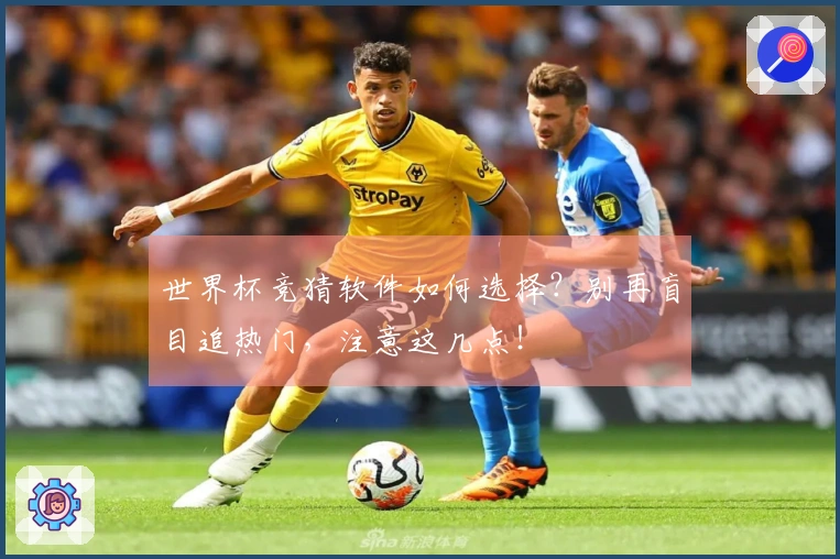世界杯竞猜软件如何选择？别再盲目追热门，注意这几点！