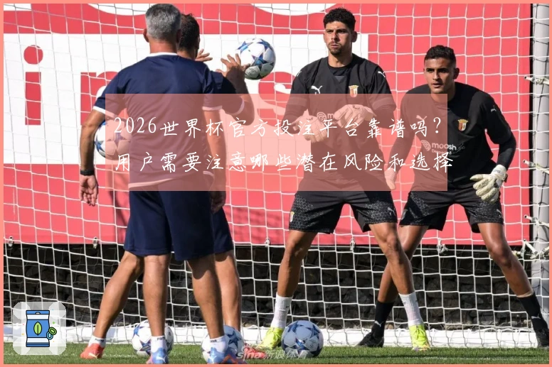 2026世界杯官方投注平台靠谱吗？用户需要注意哪些潜在风险和选择标准