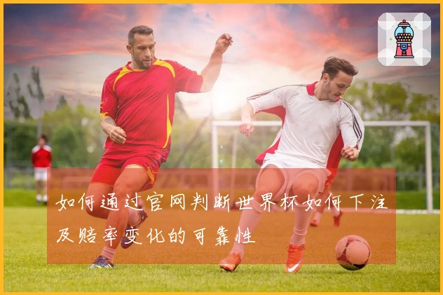 如何通过官网判断世界杯如何下注及赔率变化的可靠性