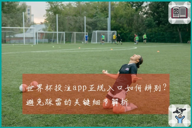 世界杯投注app正规入口如何辨别？避免踩雷的关键细节解析